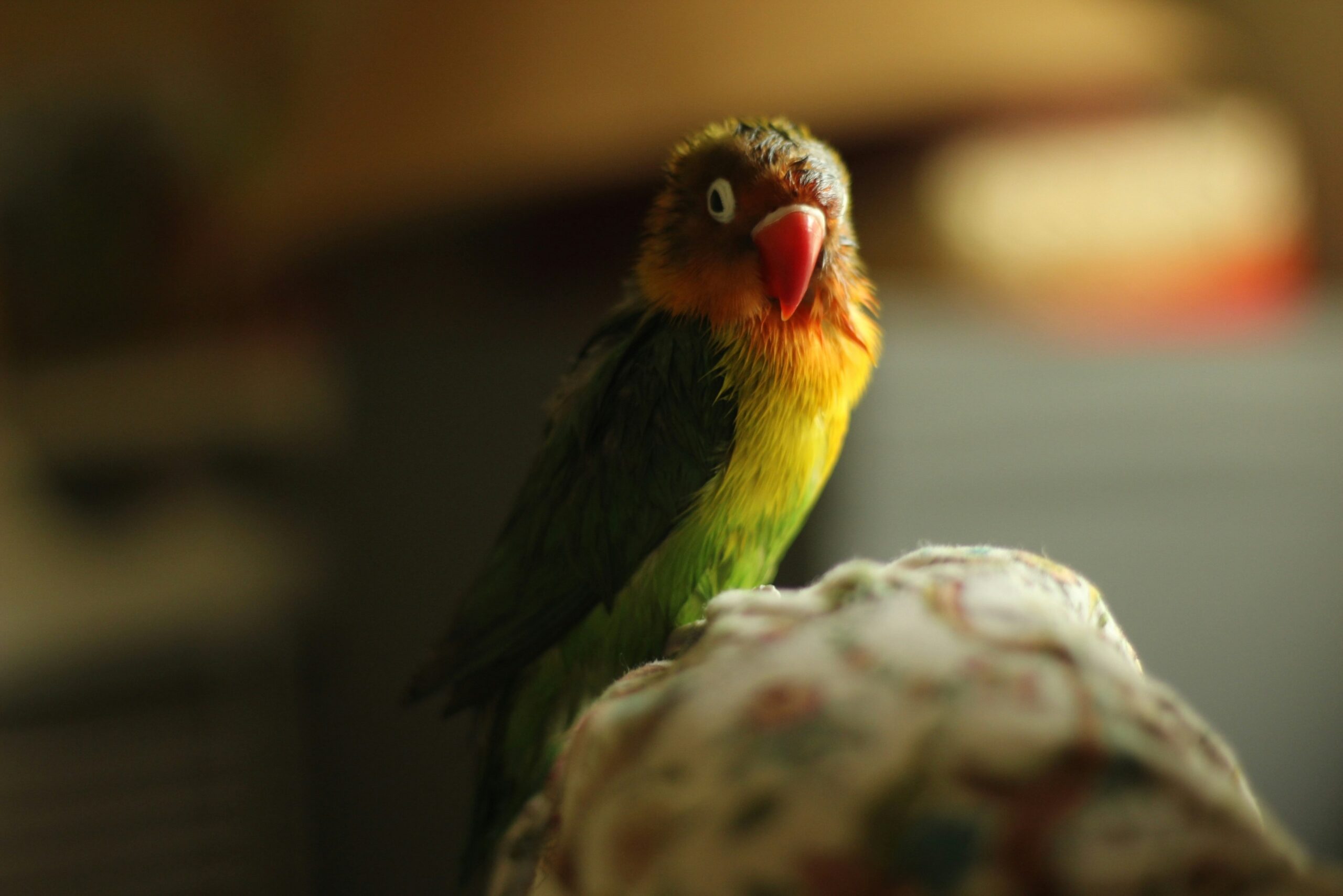 Hello world!